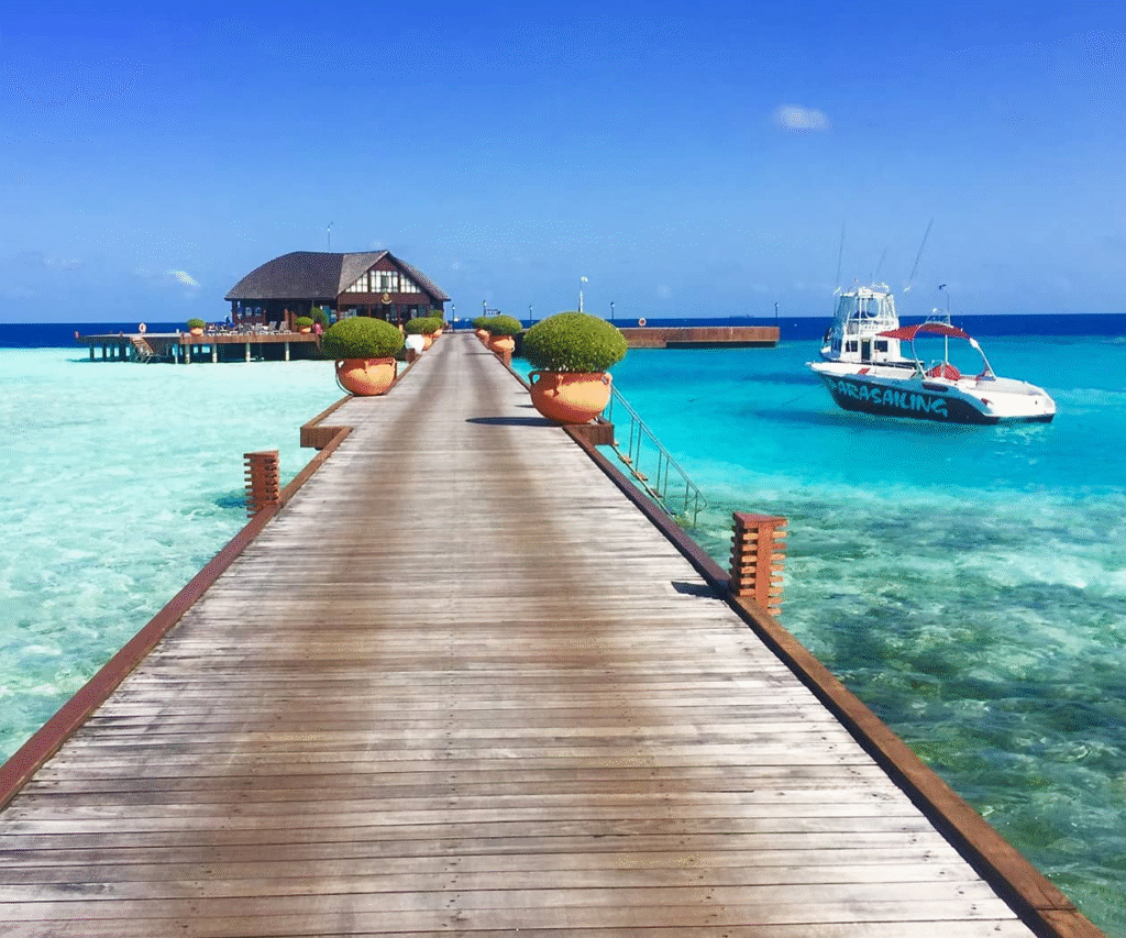 Discover Weed in Dhahran