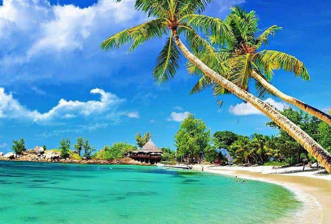 Discover Weed in Kon Tum